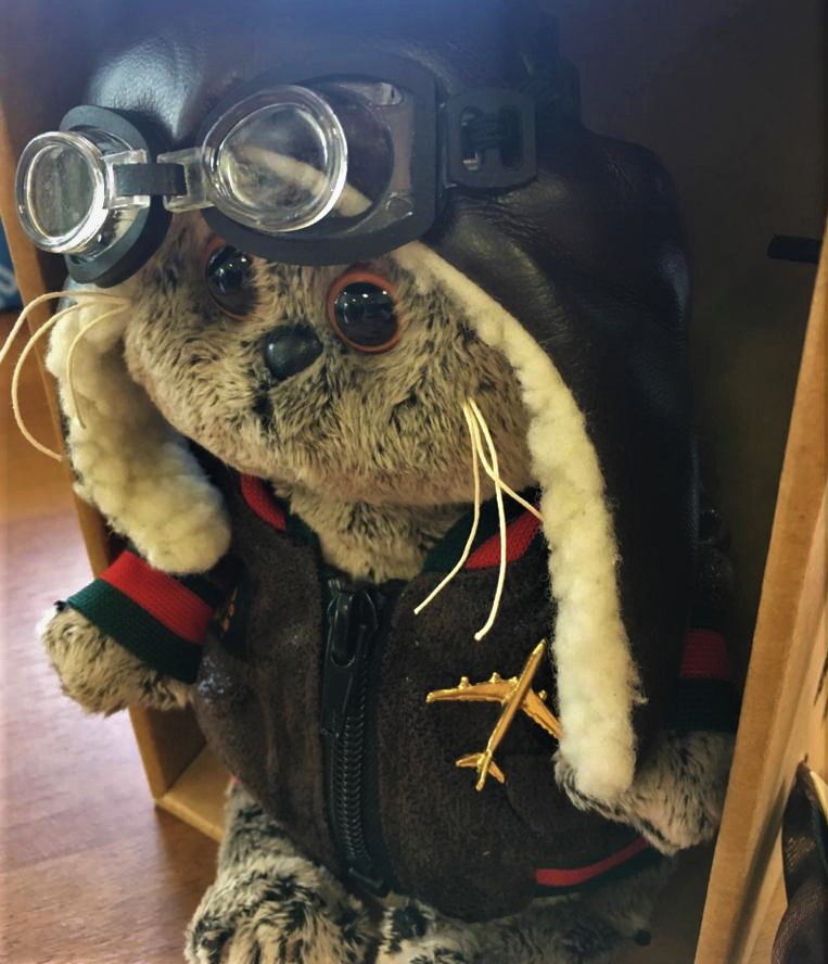 Кот - пилот  в лётной куртке и шлеме