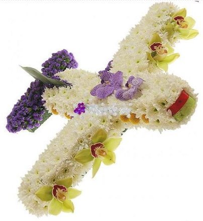 Самолет из цветов (с орхидеями)
